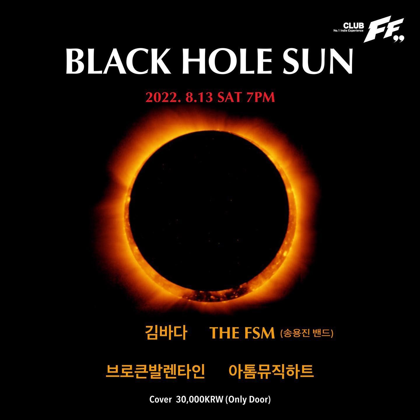 Black Hole Sun
