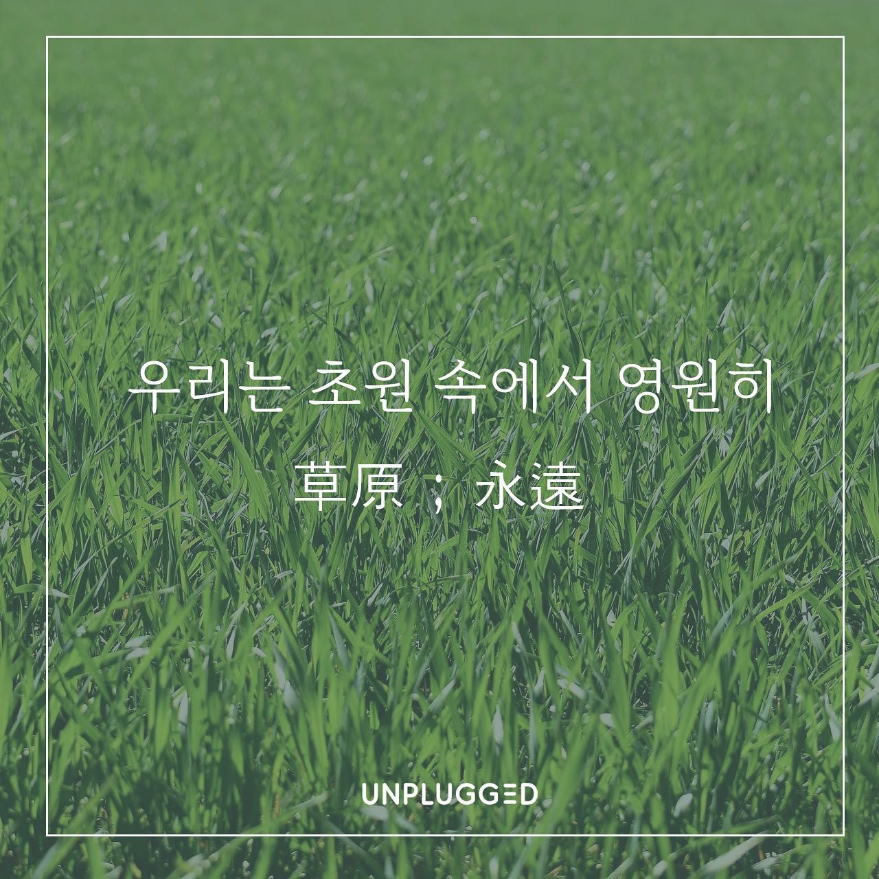 우리는 초원 속에서 영원히  poster 2