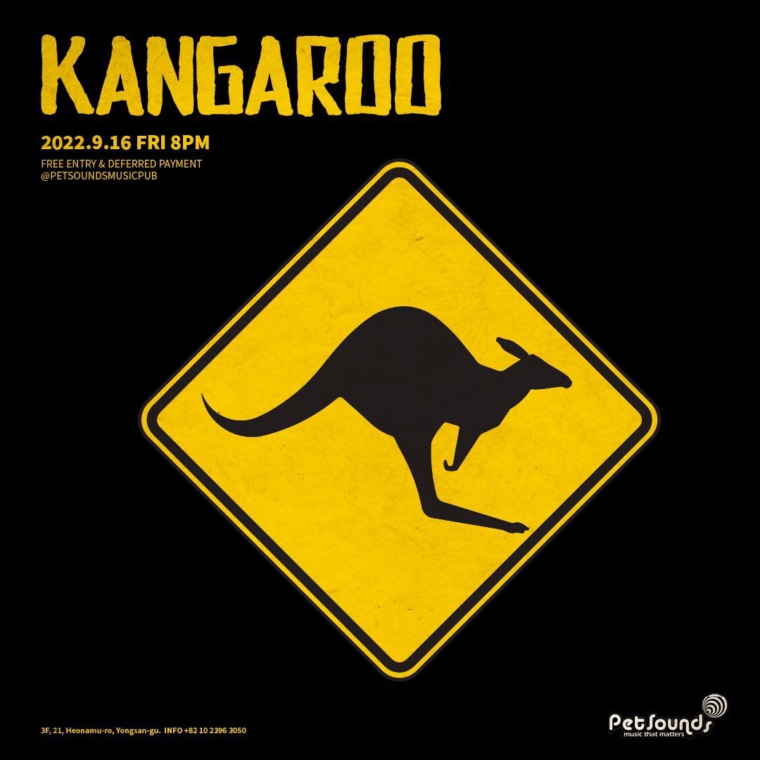 펫사운즈 인디라이브 - 강거루