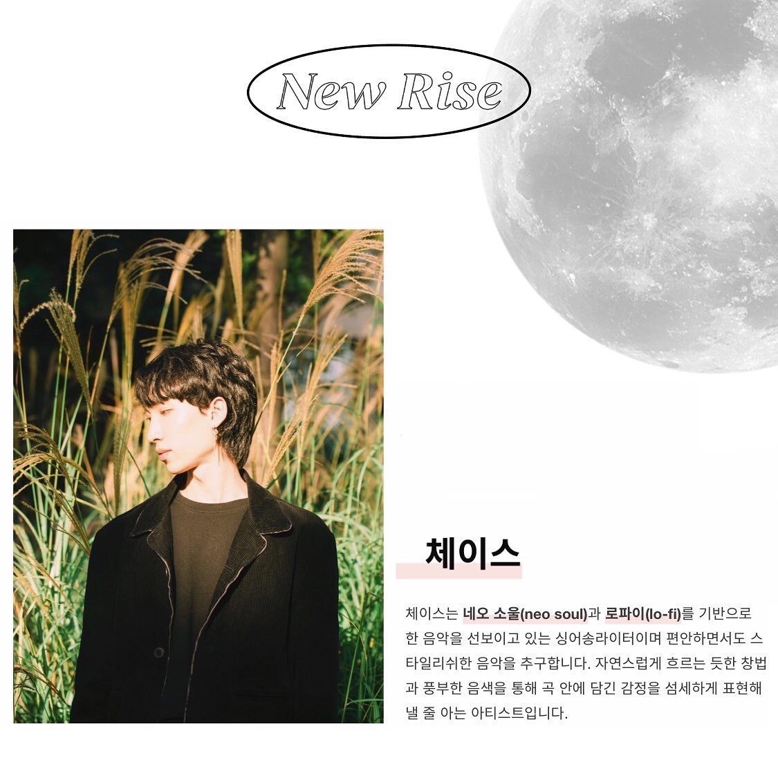 NEW RISE : 홍대 클럽 온에어 인디공연 poster 3