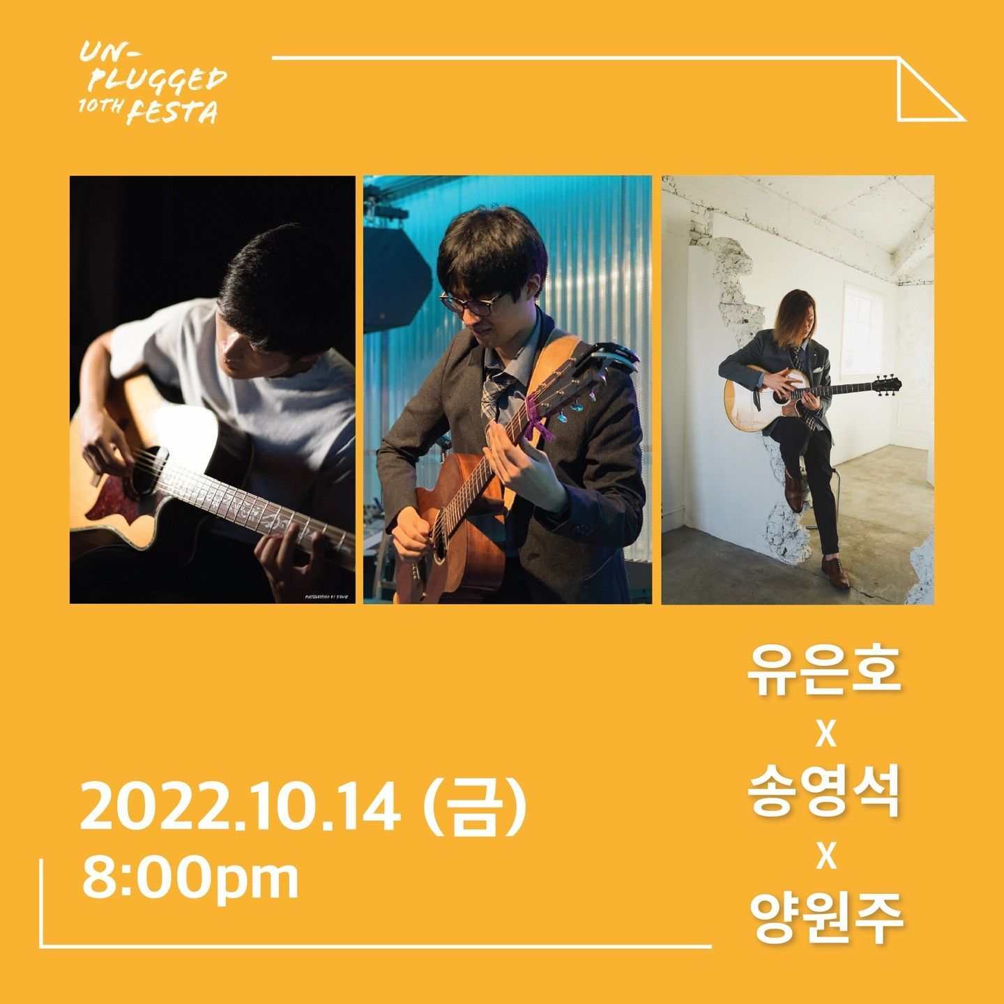 Fingerstyle Night 