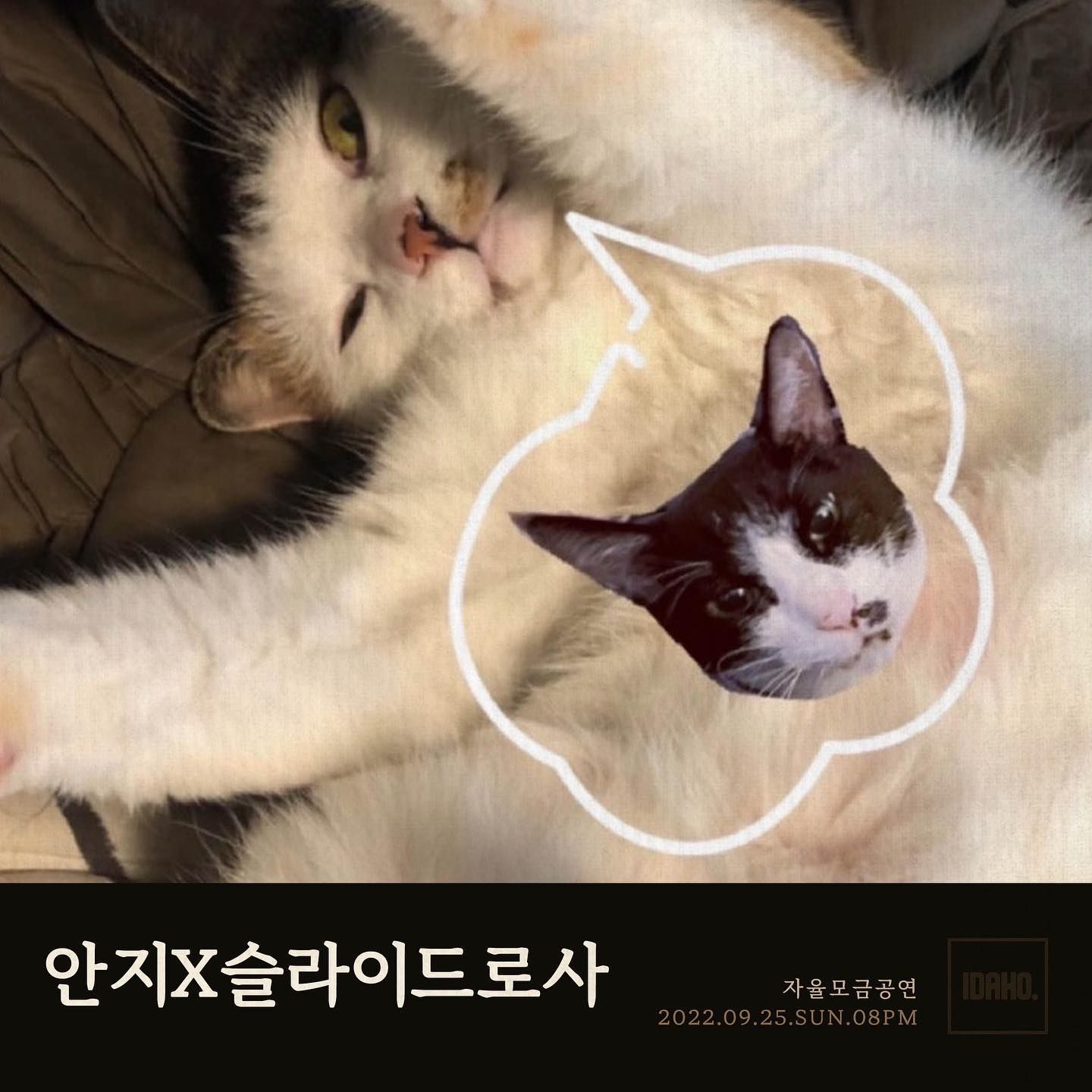 2022년 9월 25일 카페 아이다호 공연 - 안지X슬라이드로사