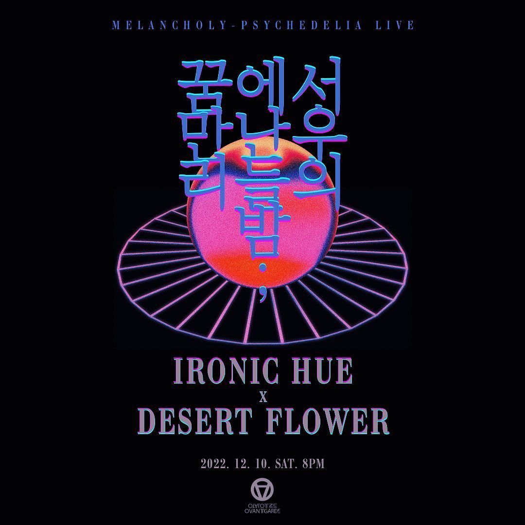 꿈에서 만난 우리들의 밤 - 아이러닉 휴 X 사막꽃
