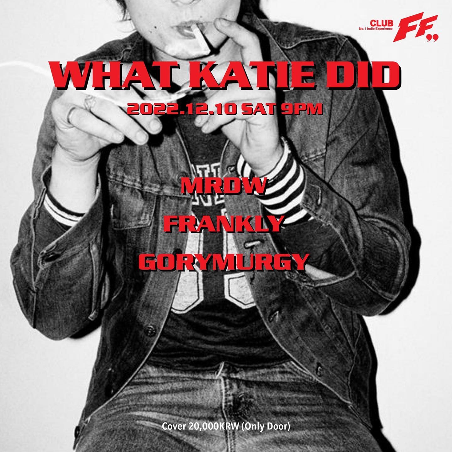 What Katie Did poster 2