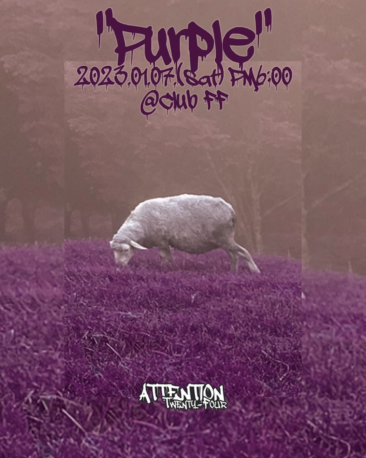 Attention 24 EP ‘Purple’ 발매 기념 단독공연
