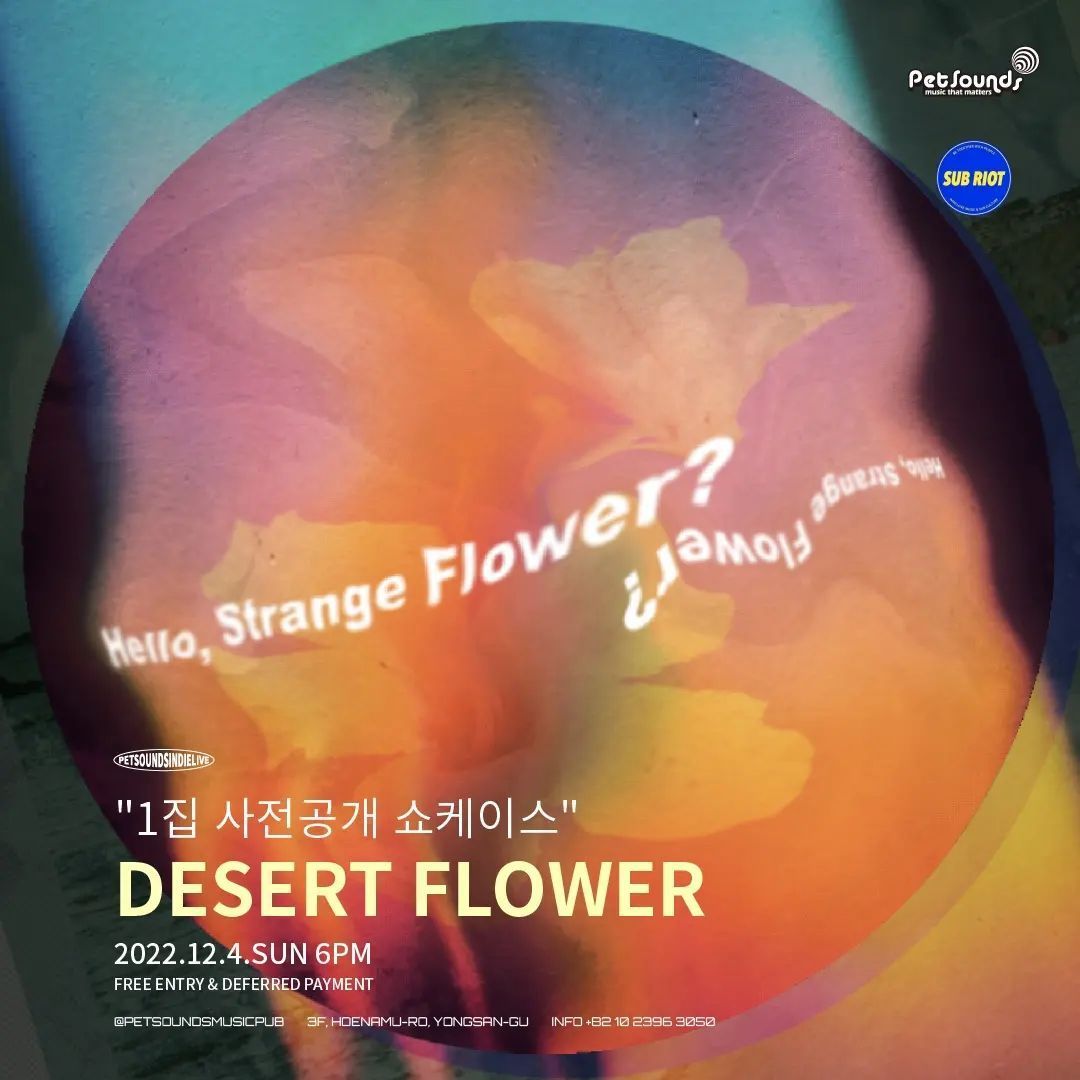 펫사운즈 인디라이브 - 사막꽃