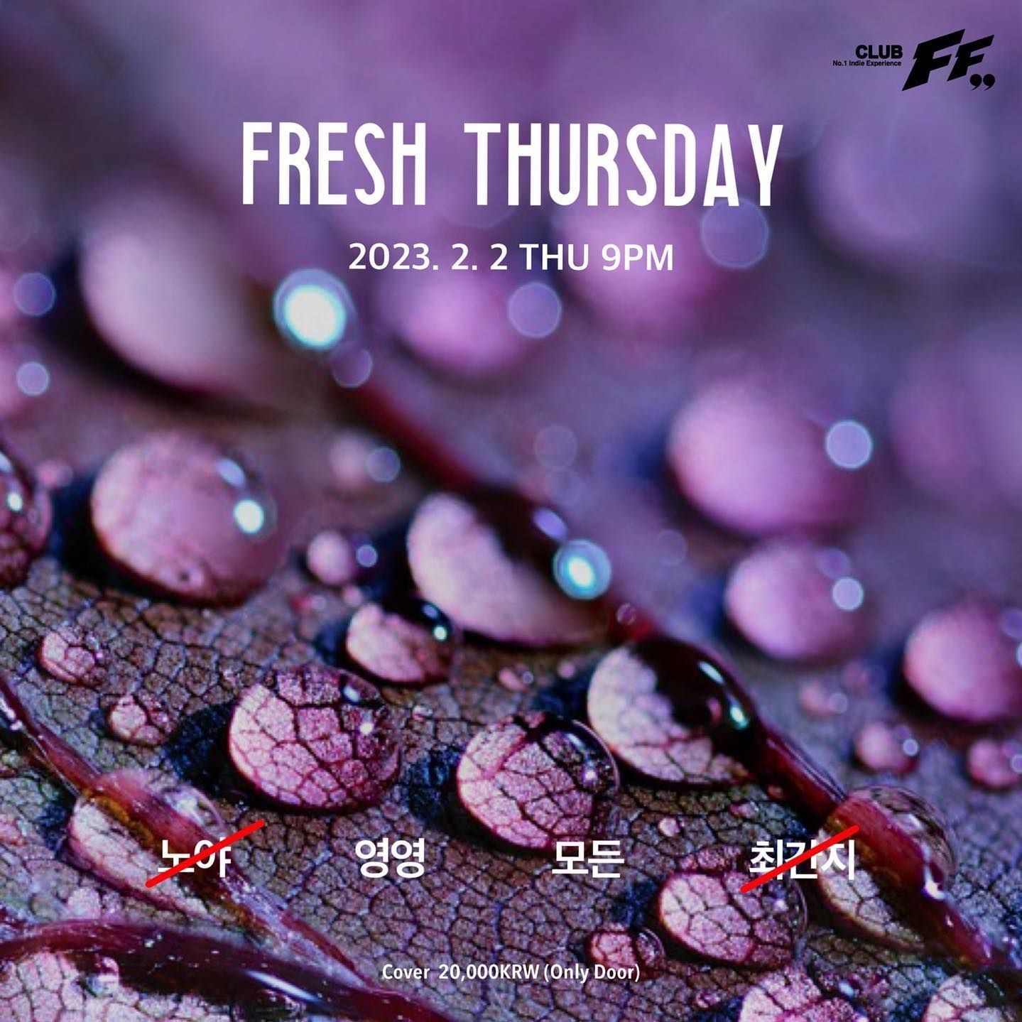 Fresh Thursdsy