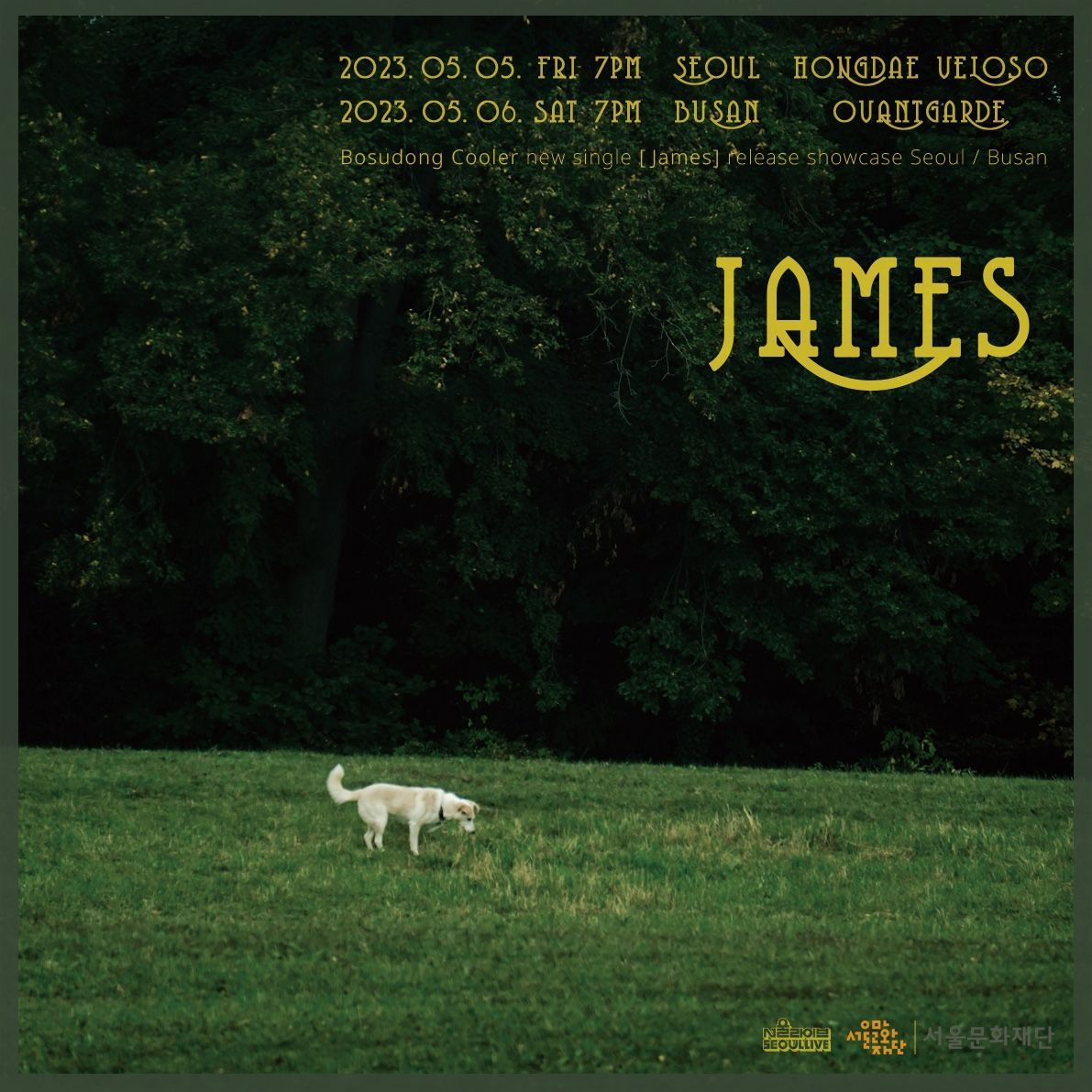 보수동쿨러 싱글 James 발매 기념 단독공연 (부산)