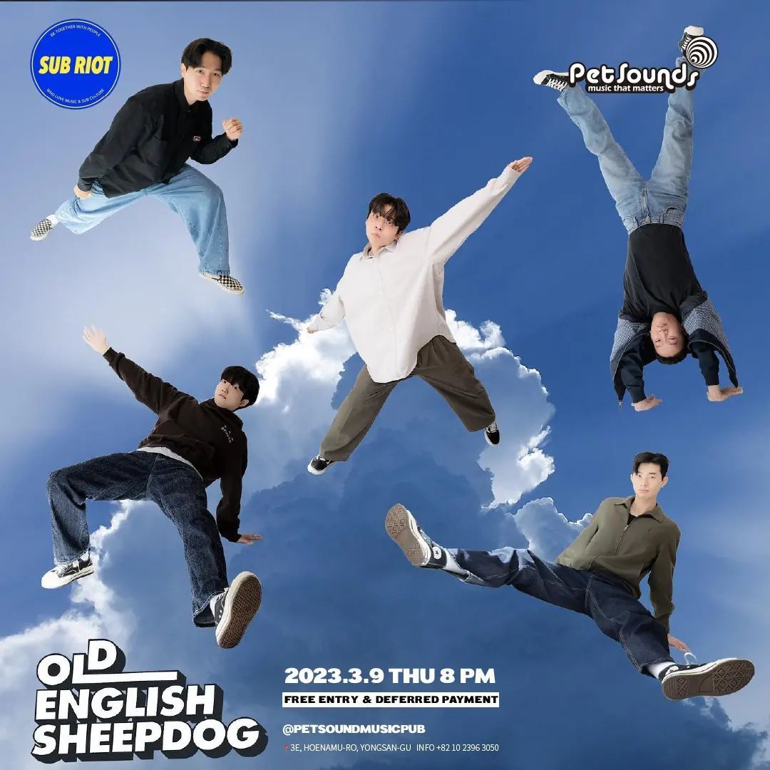 펫사운즈 인디라이브 - 아시아닉, 올드잉글리쉬쉽독