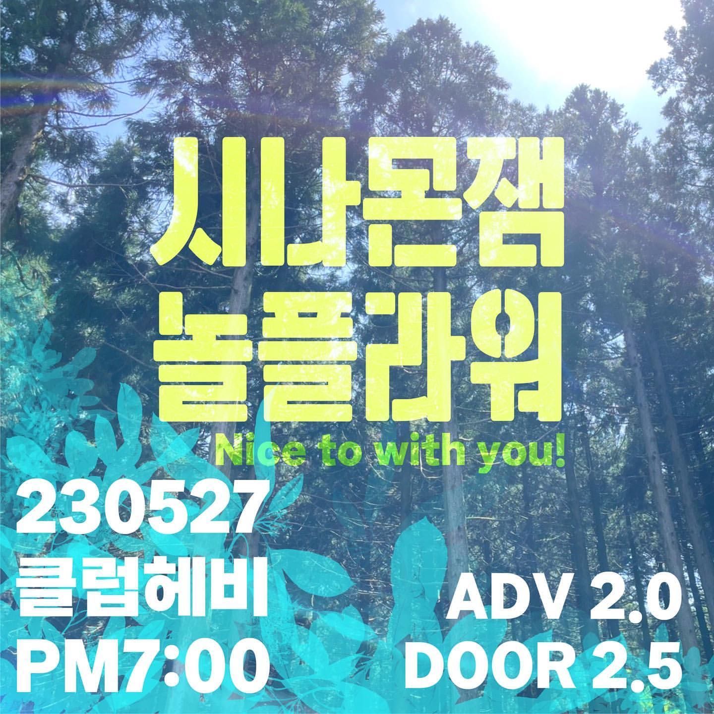 놀플라워 대구공연