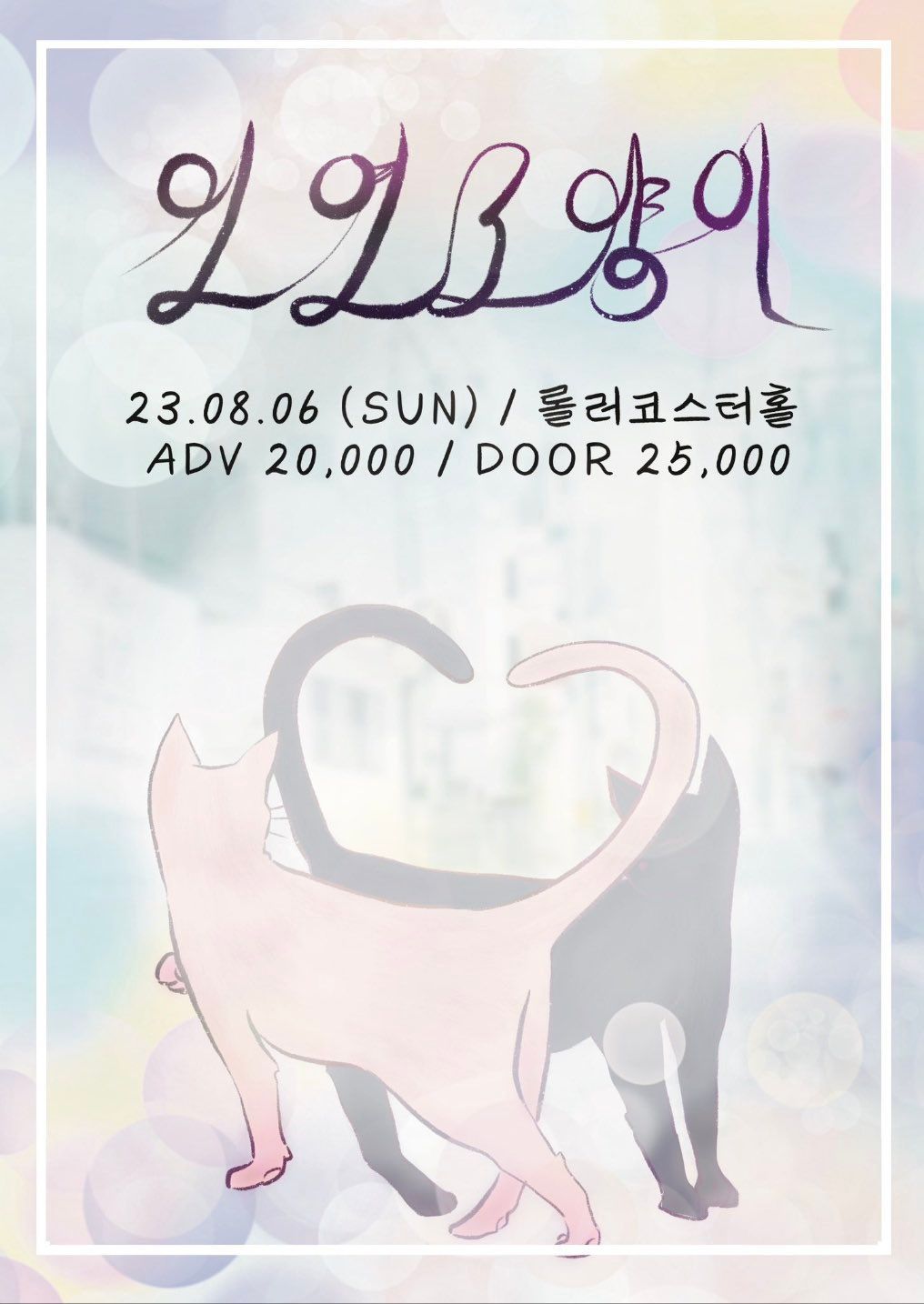 「 인연고양이 」