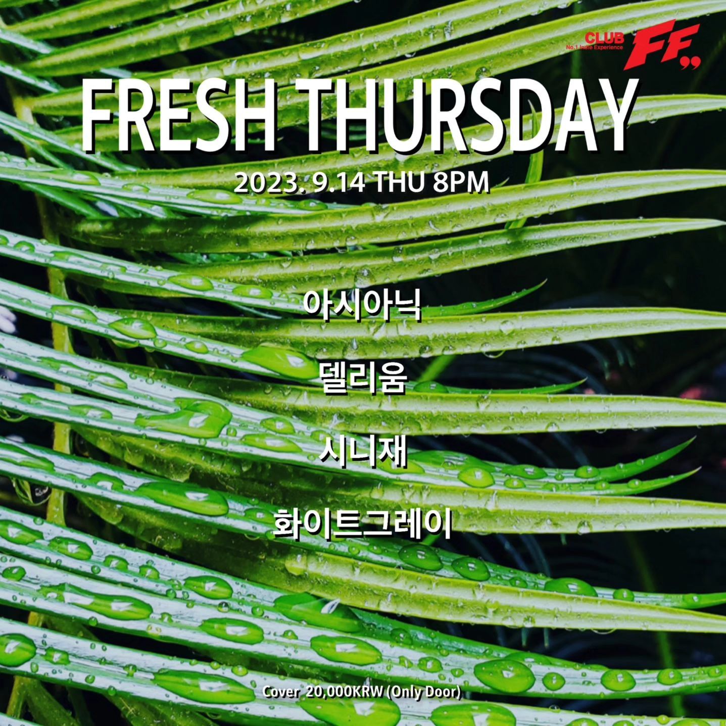 Fresh Thursday