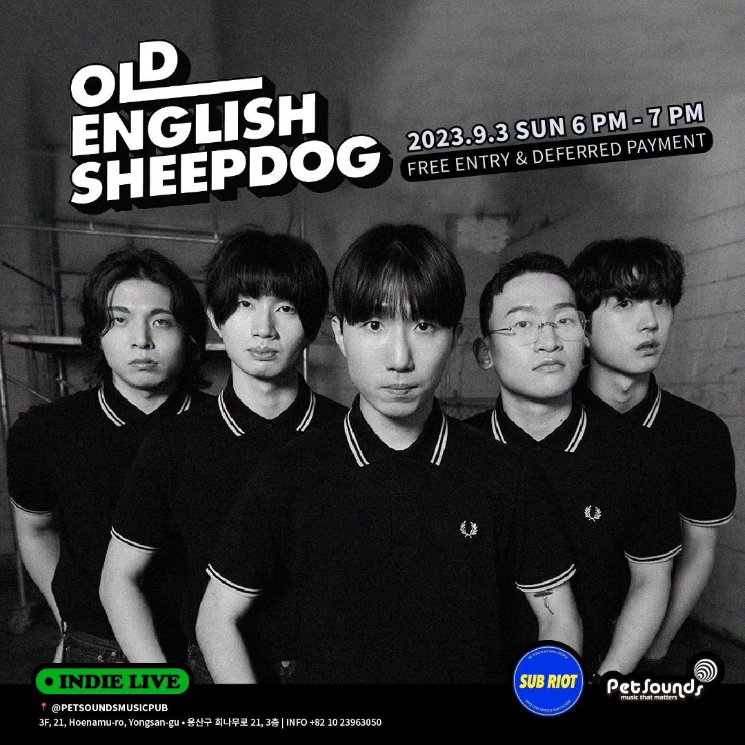 펫사운즈 인디라이브 - 올드잉글리쉬쉽독, 아웃라이어즈