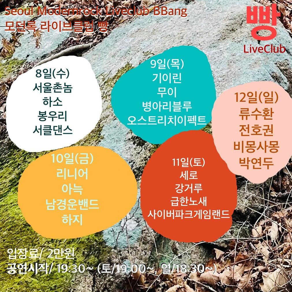 2023년 11월 클럽빵 공연