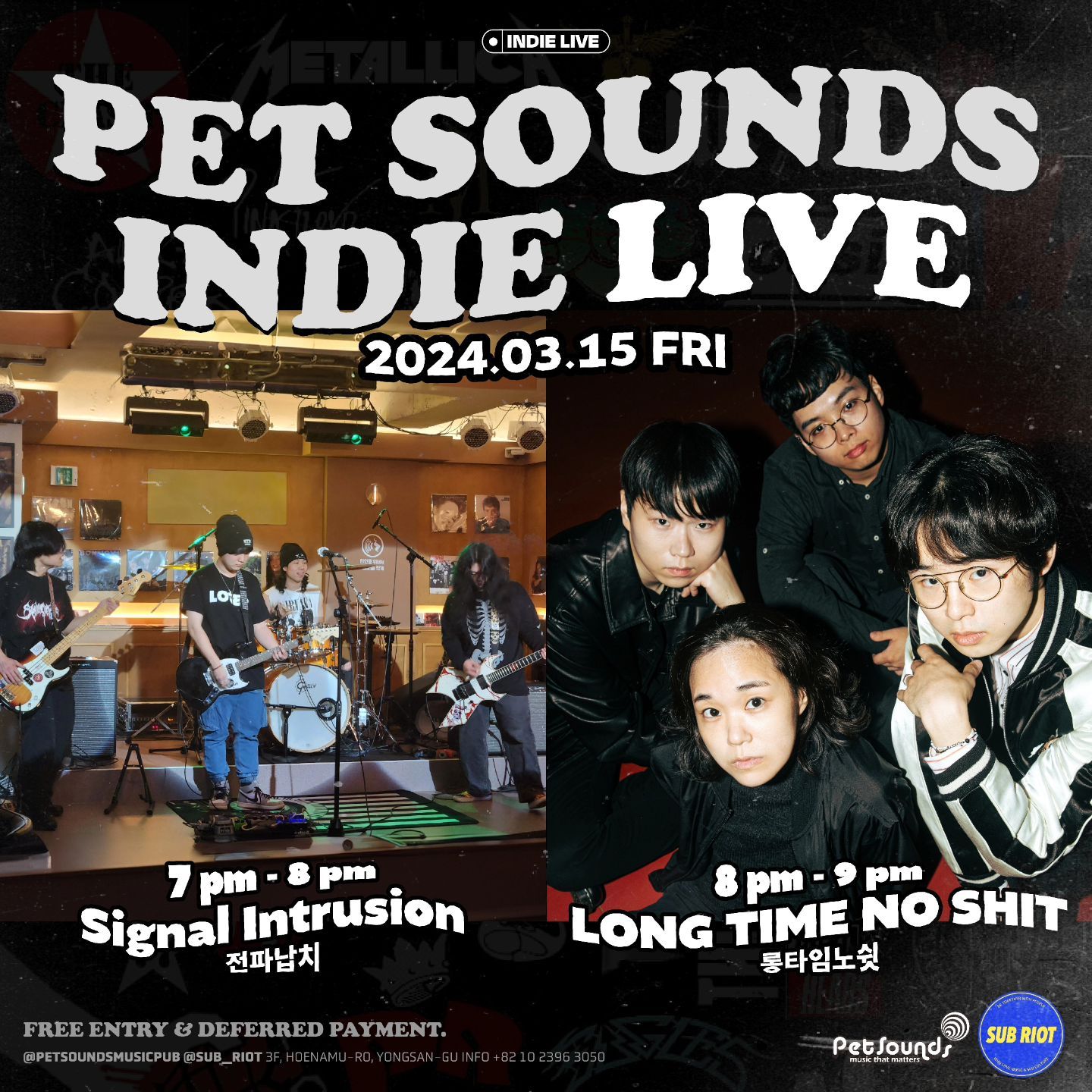 ❤️‍🔥 펫사운즈 인디라이브 | Pet Sounds Indie Live ❤️‍🔥
