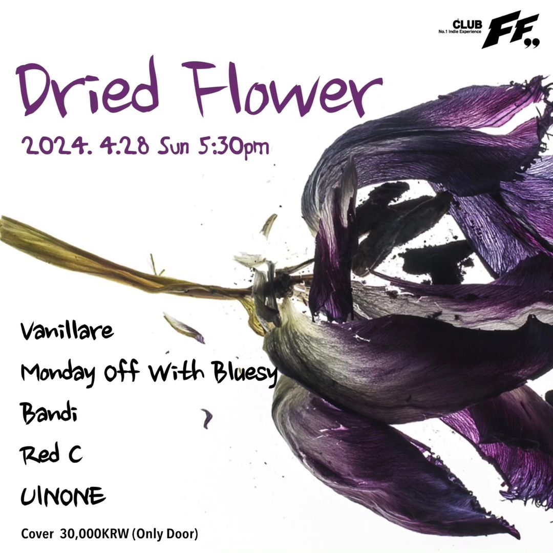 Dried Flower poster 2