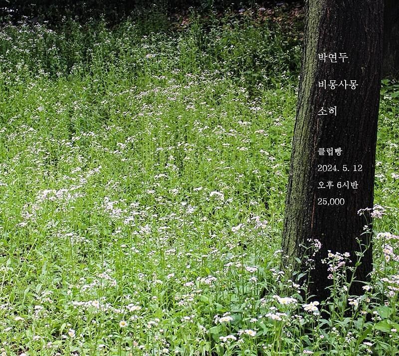 2024년 5월 클럽빵 공연