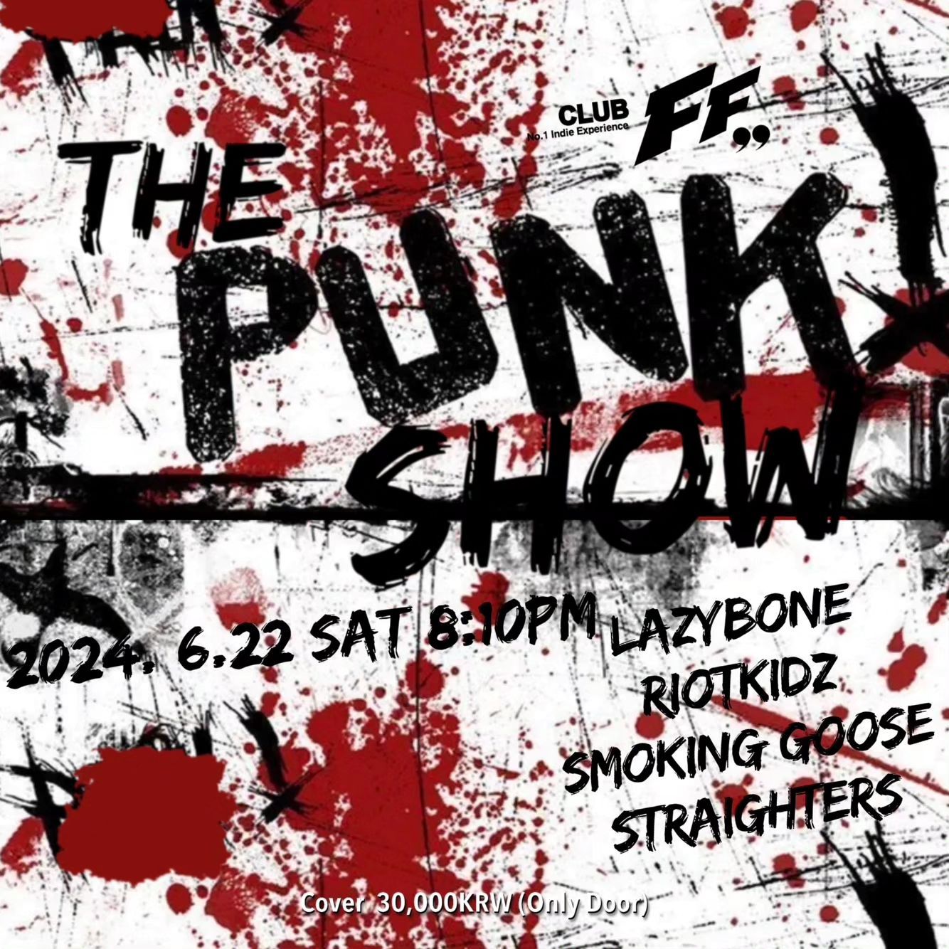 The Punk Show