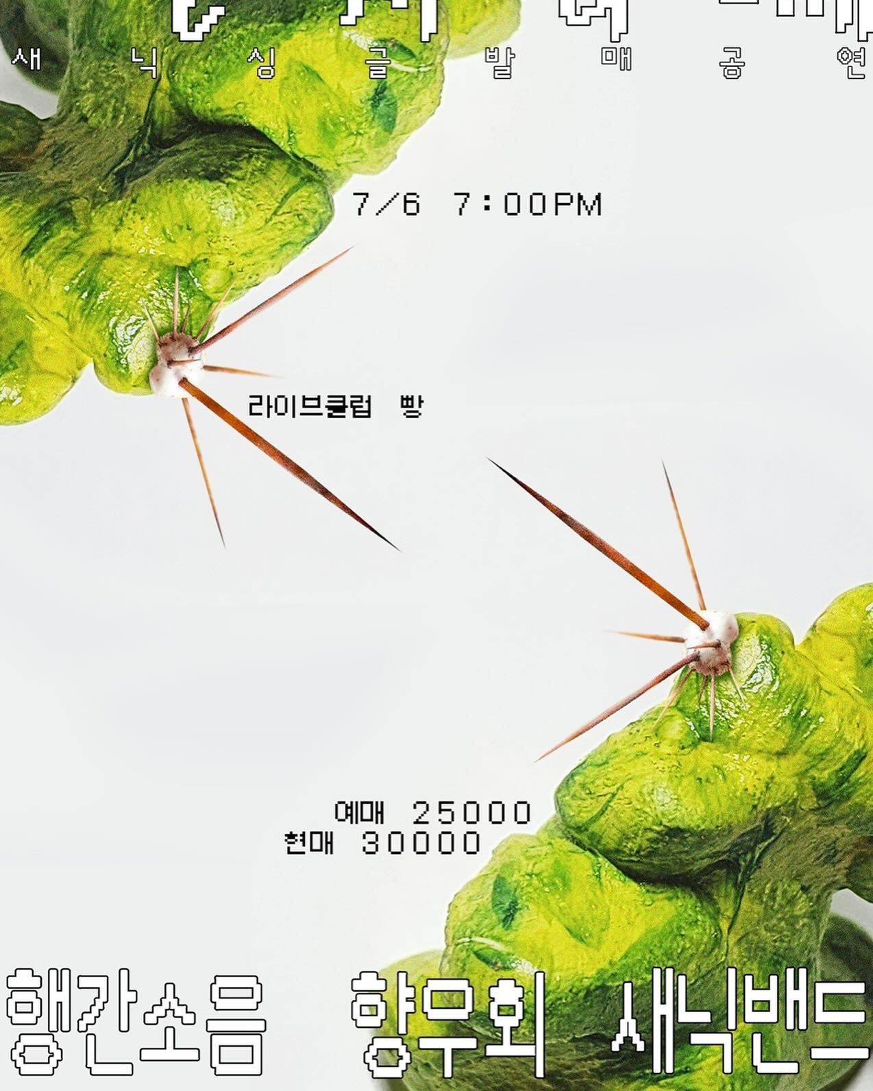 ‘선인장 시체와 함께’ 발매공연🌵🌵