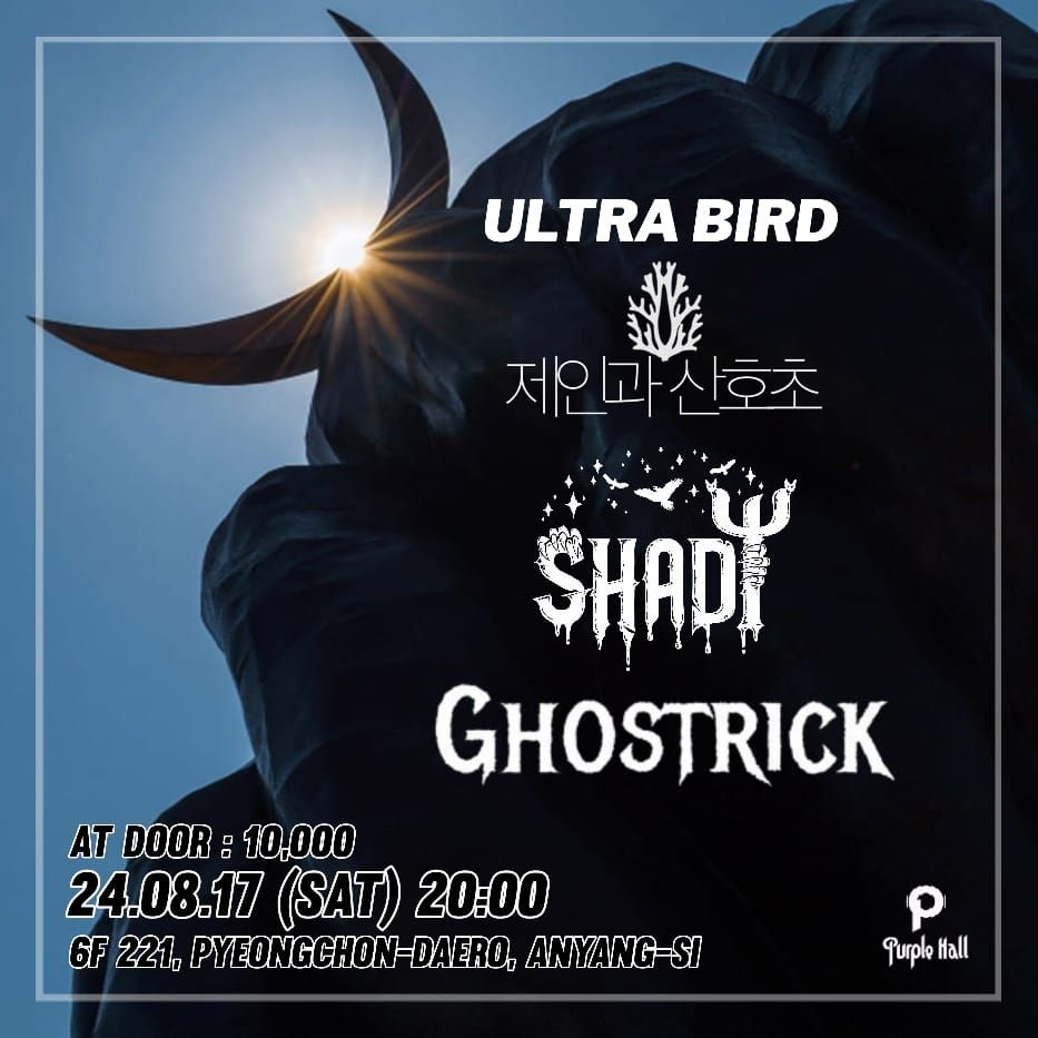 2024년 8월 퍼플홀 공연