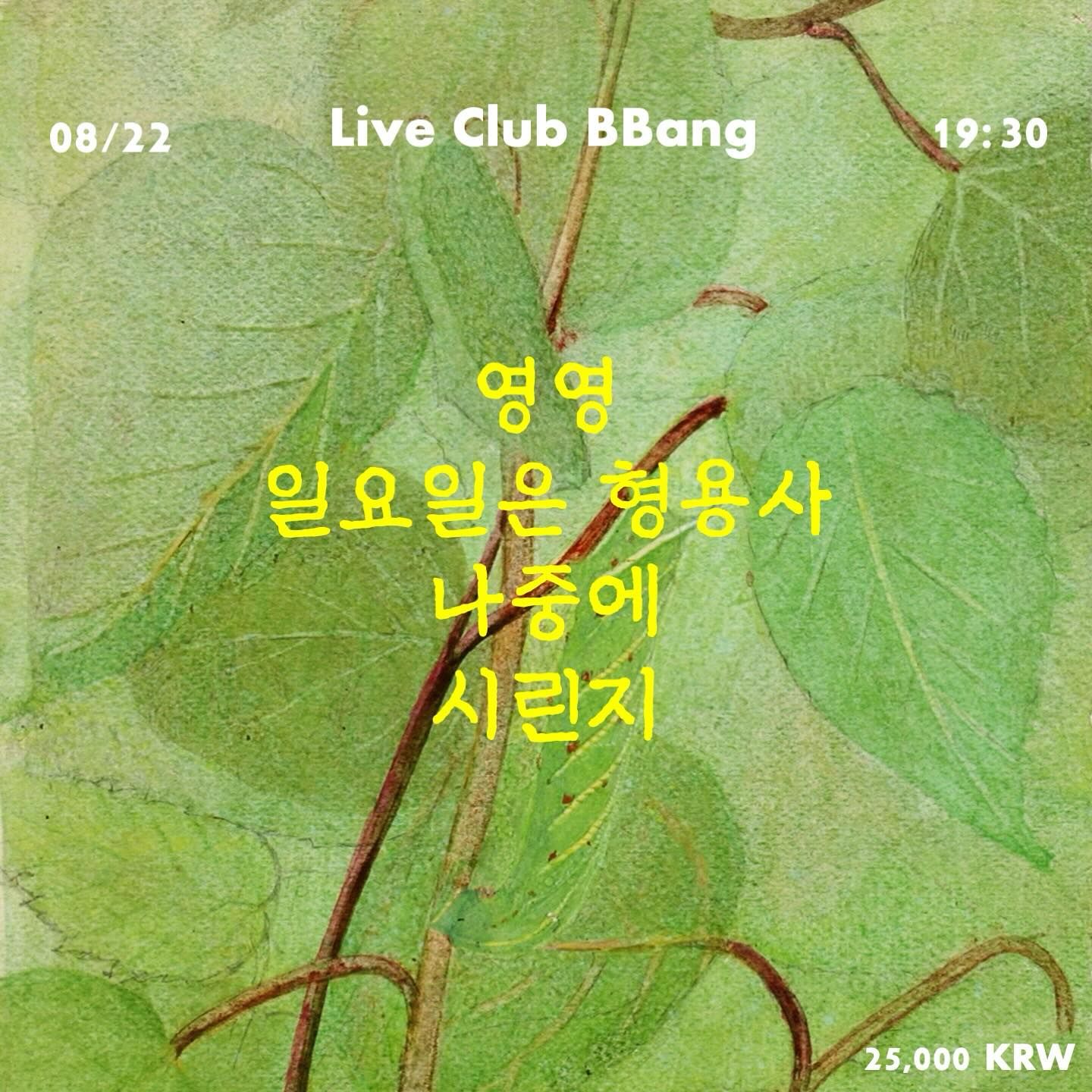 2024년 8월 클럽빵 공연