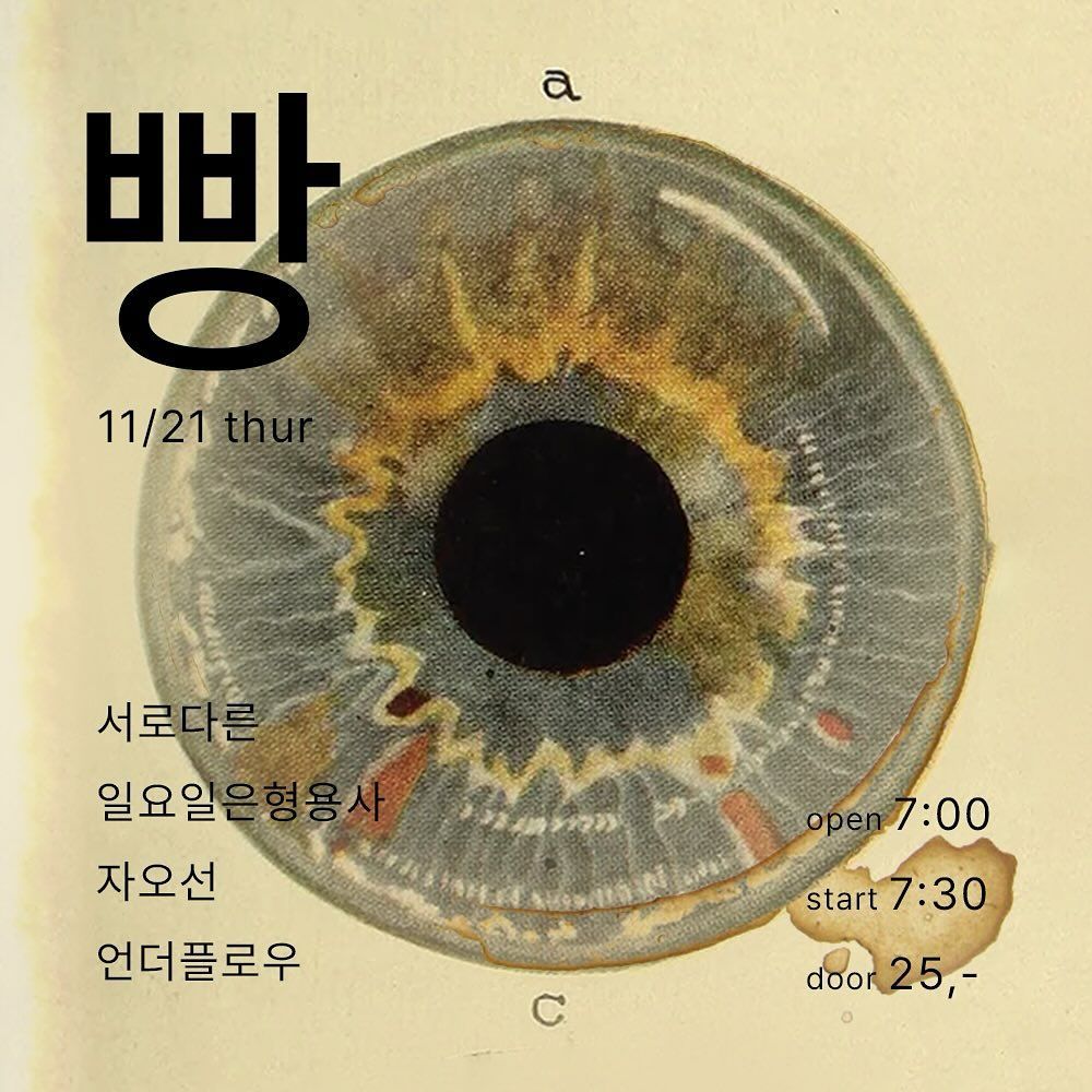 2024년 11월 클럽빵 공연