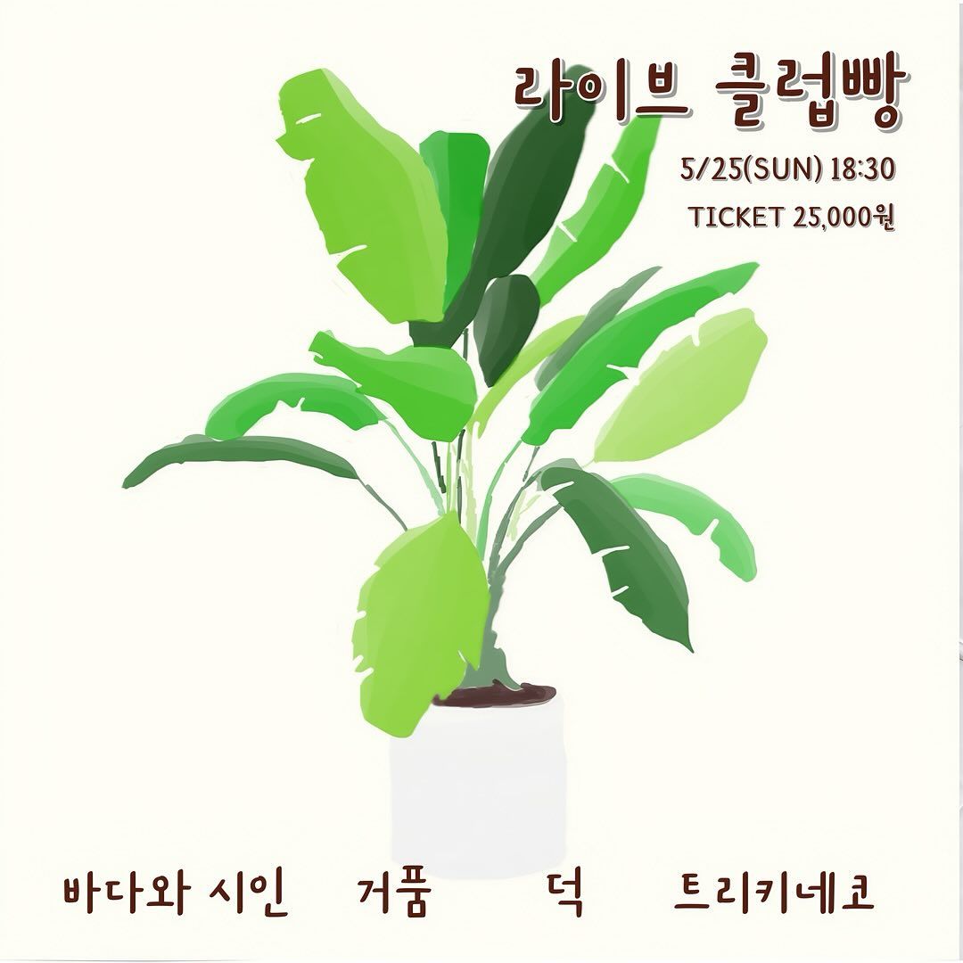 2025년 5월 클럽빵 공연