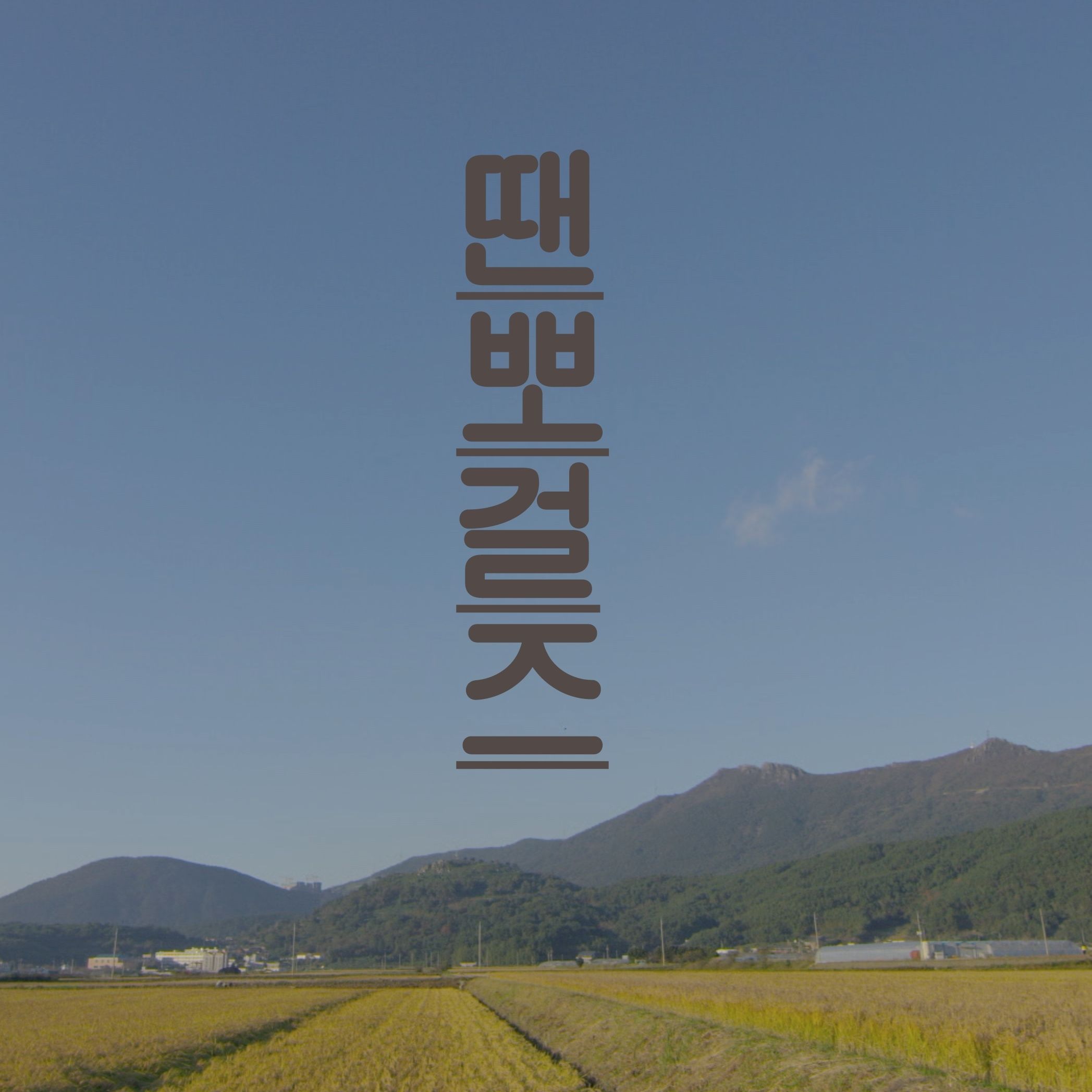 땐뽀걸즈 (KBS1 스페셜) OST 앨범 커버