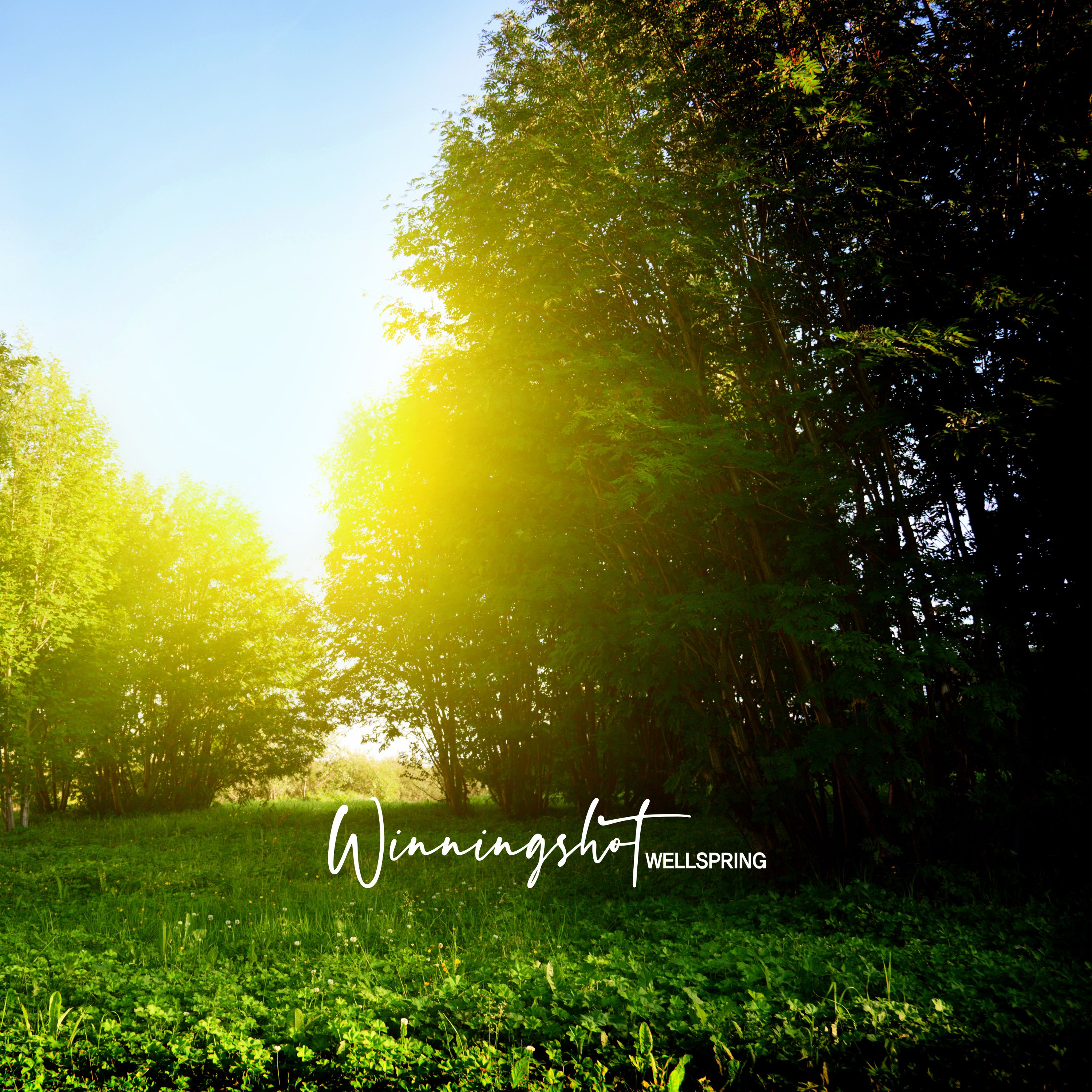 Wellspring