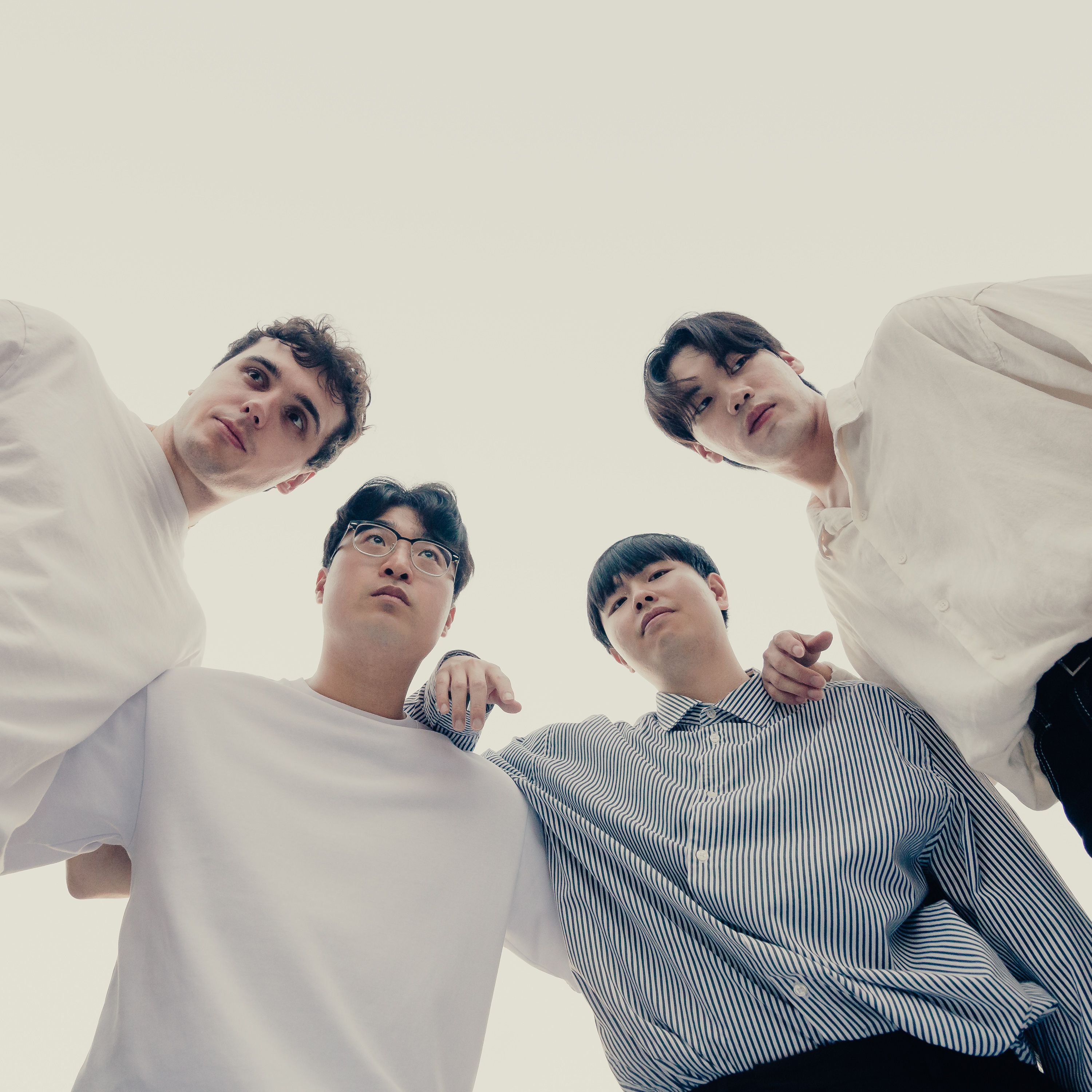 돌고래 (Sonic Wave)