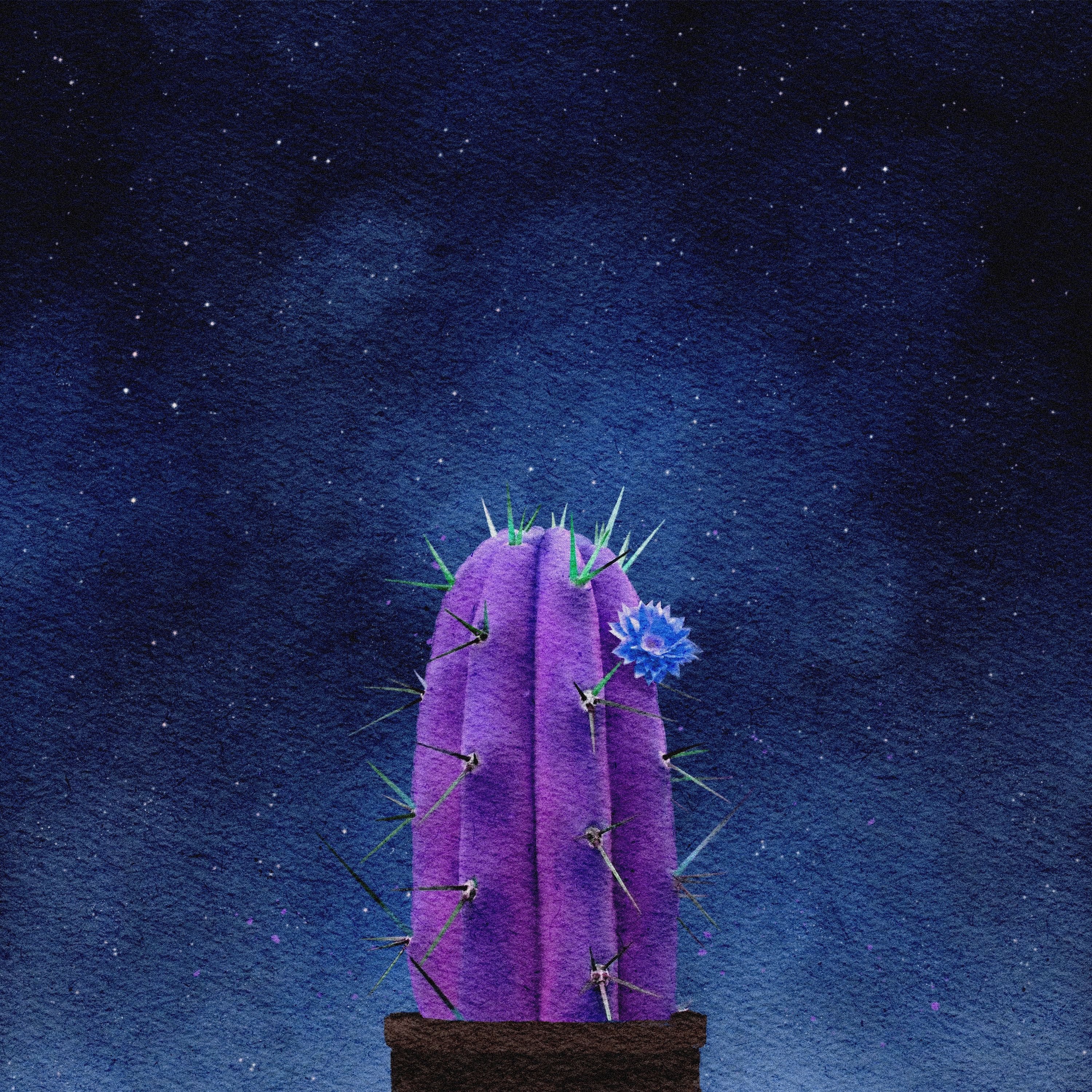 밤에 폈던 꽃