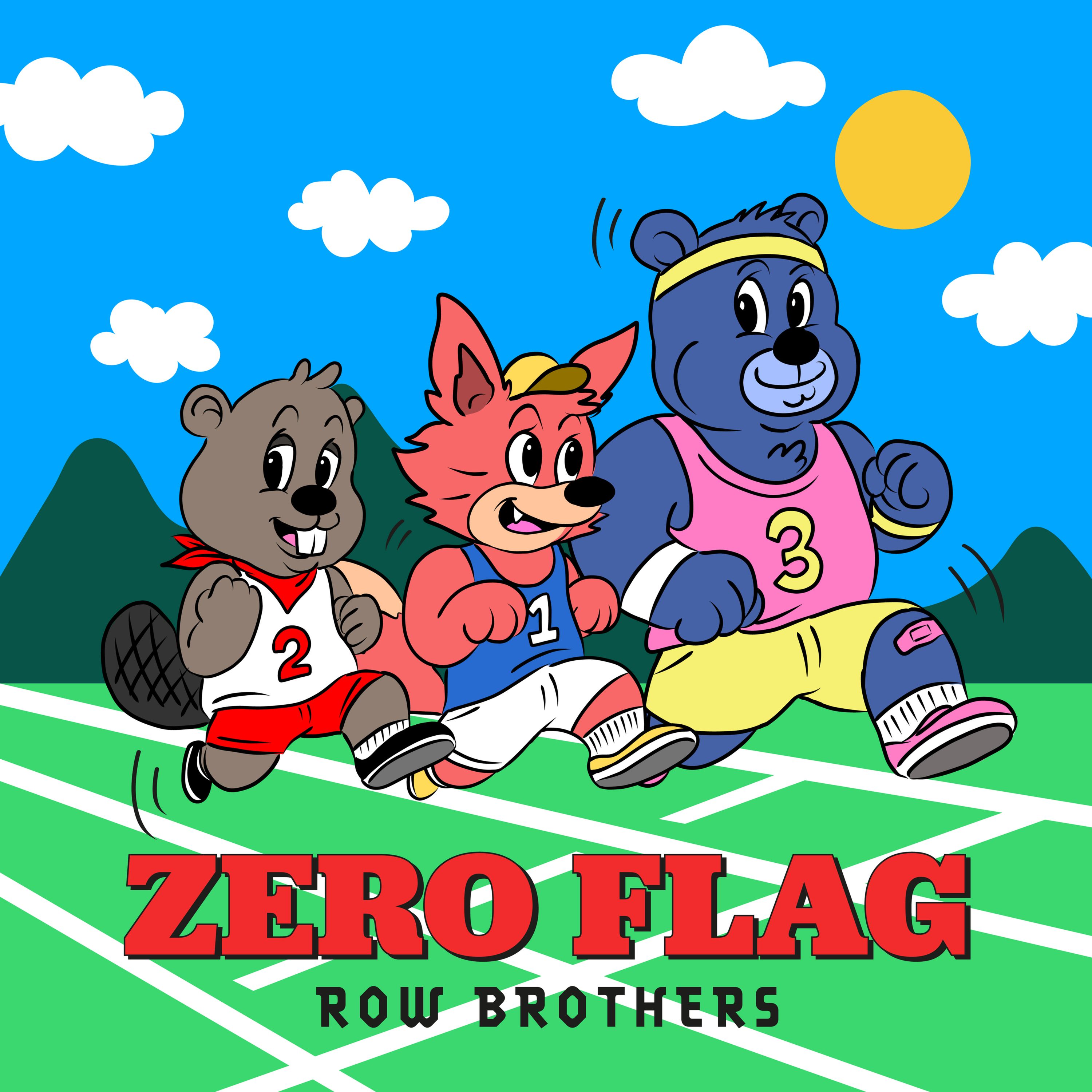 ZERO FLAG
