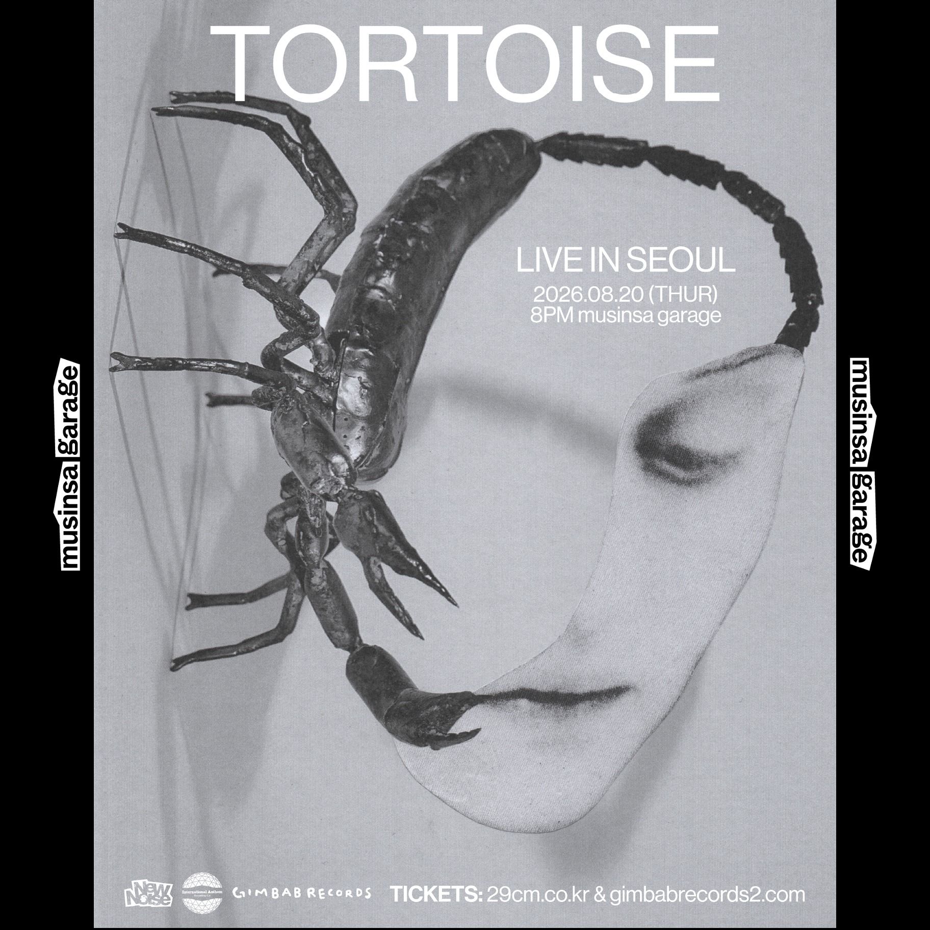 🐢 Tortoise Live in Seoul 🐢