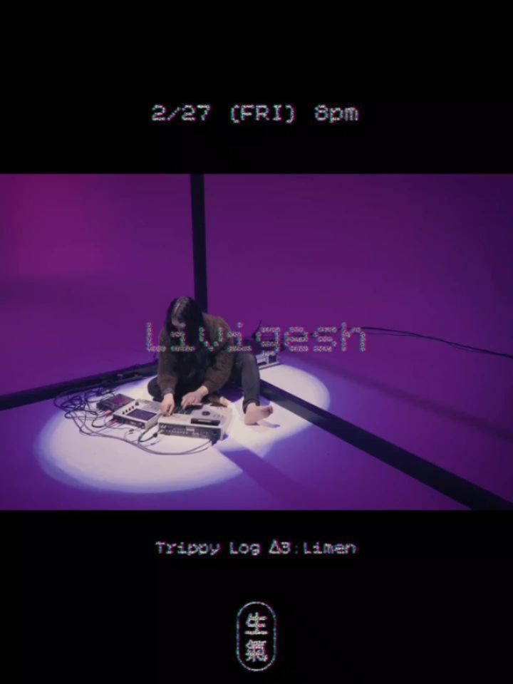 Trippy Log Δ3 : Limen poster 4