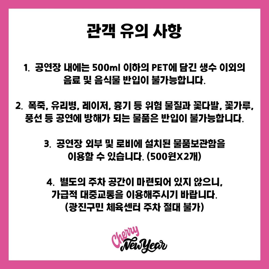 체리필터 단독 콘서트 'Cherry New Year' poster 4