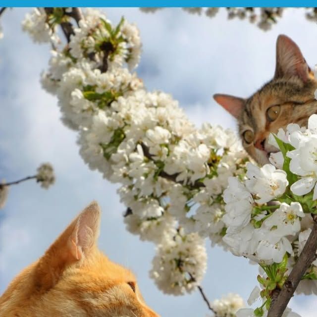 싱어송라이터들과 만나는 시간