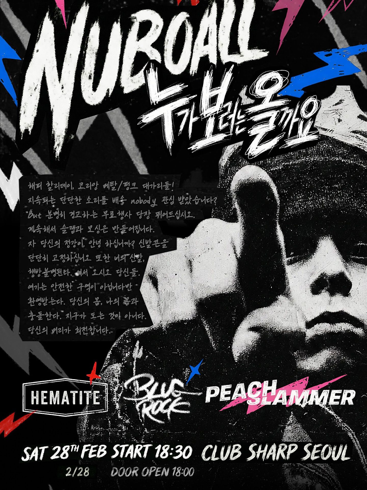 누보올 (누가 보러는 올까요...?) 축제