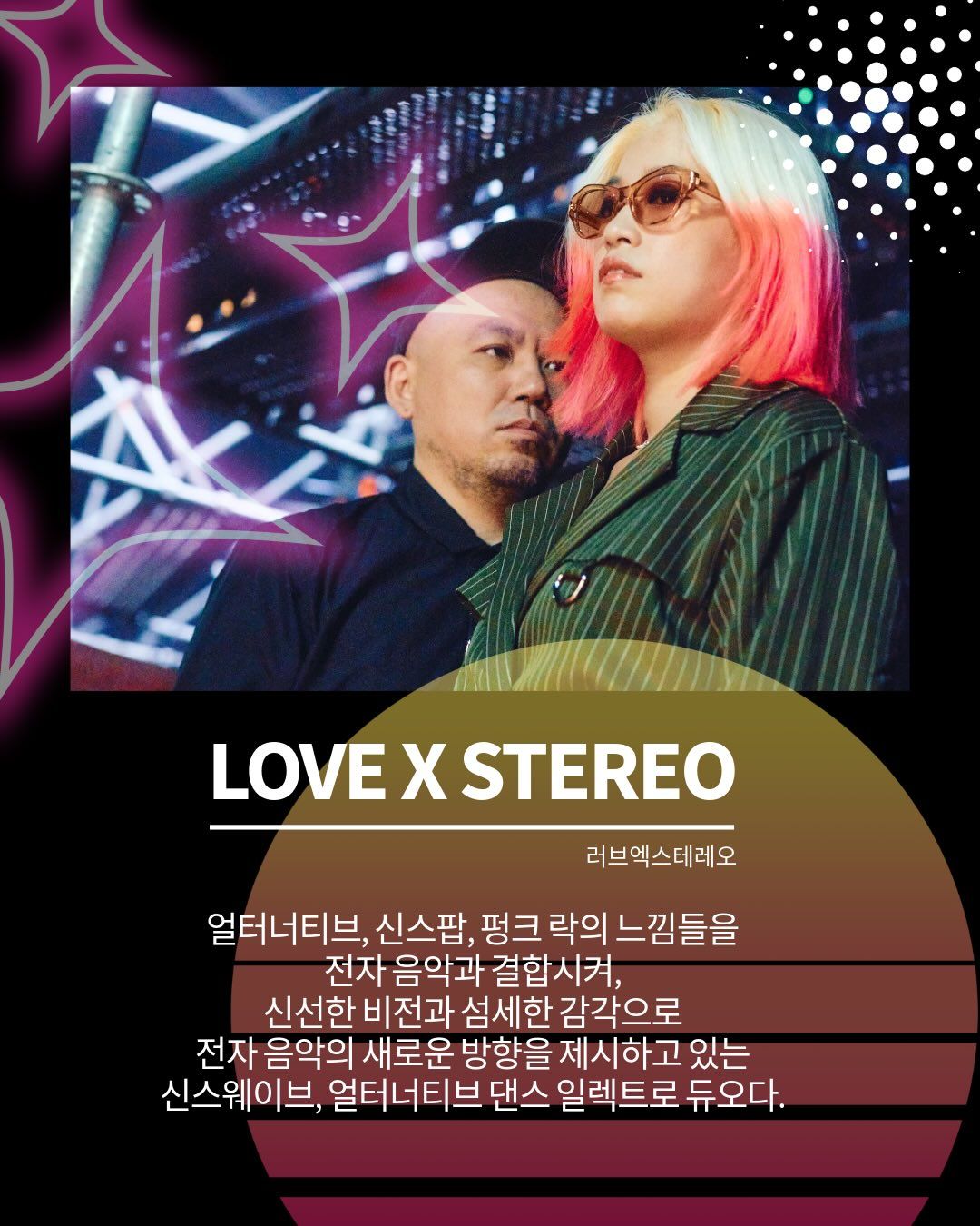 자화자찬 自畫自讚 - 불고기디스코 / 로큰롤라디오 / 러브엑스테레오 poster 5