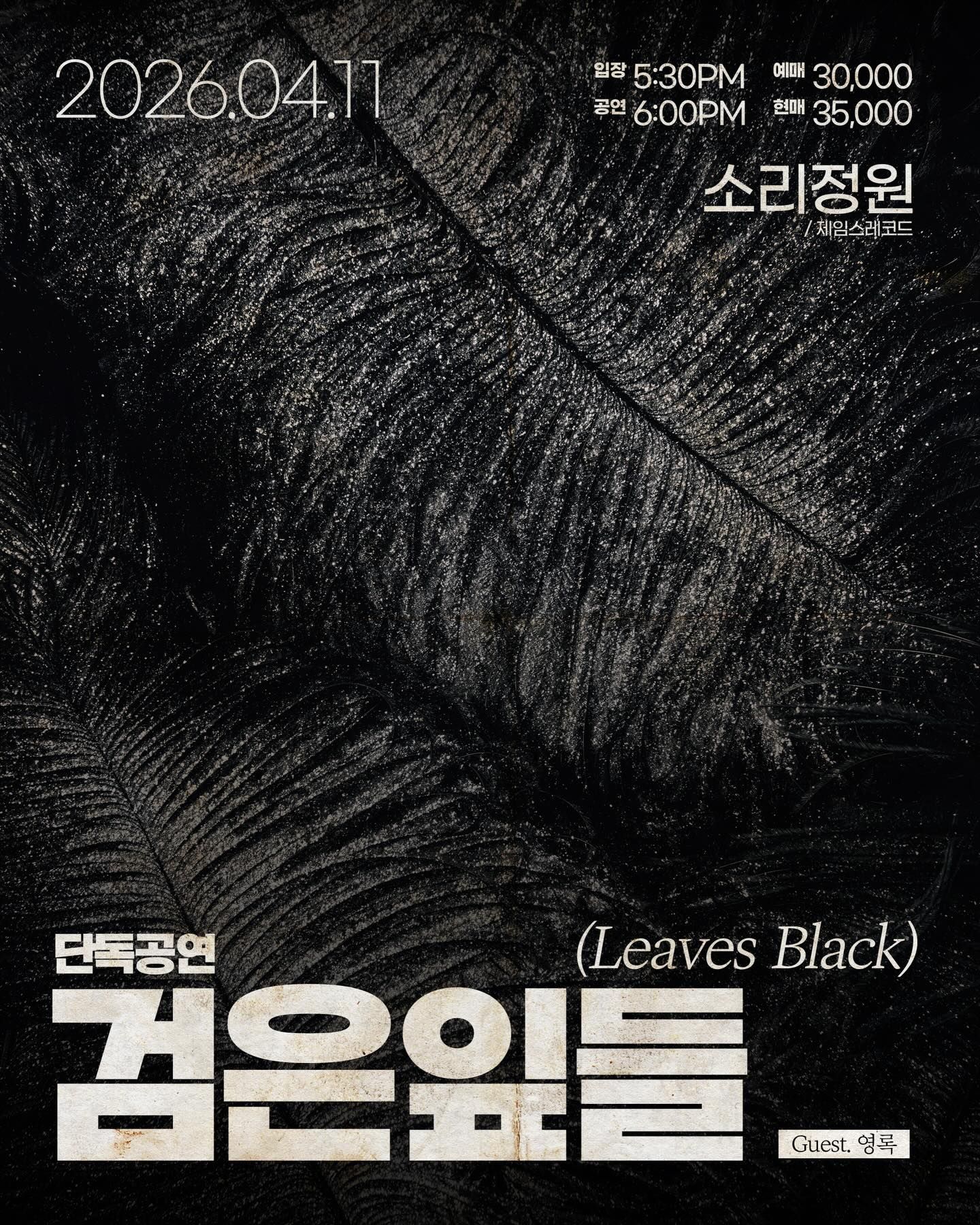 검은잎들 대구 공연