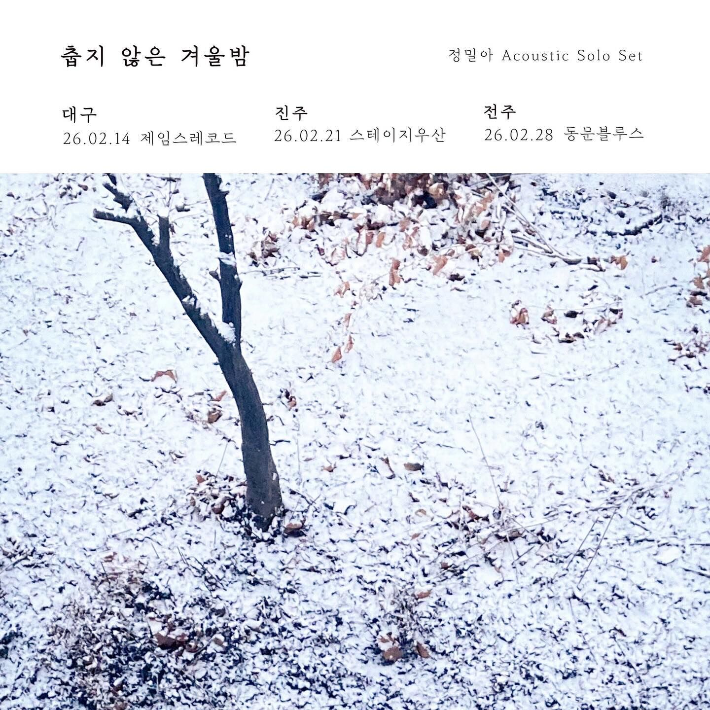 정밀아 단독공연 (대구)