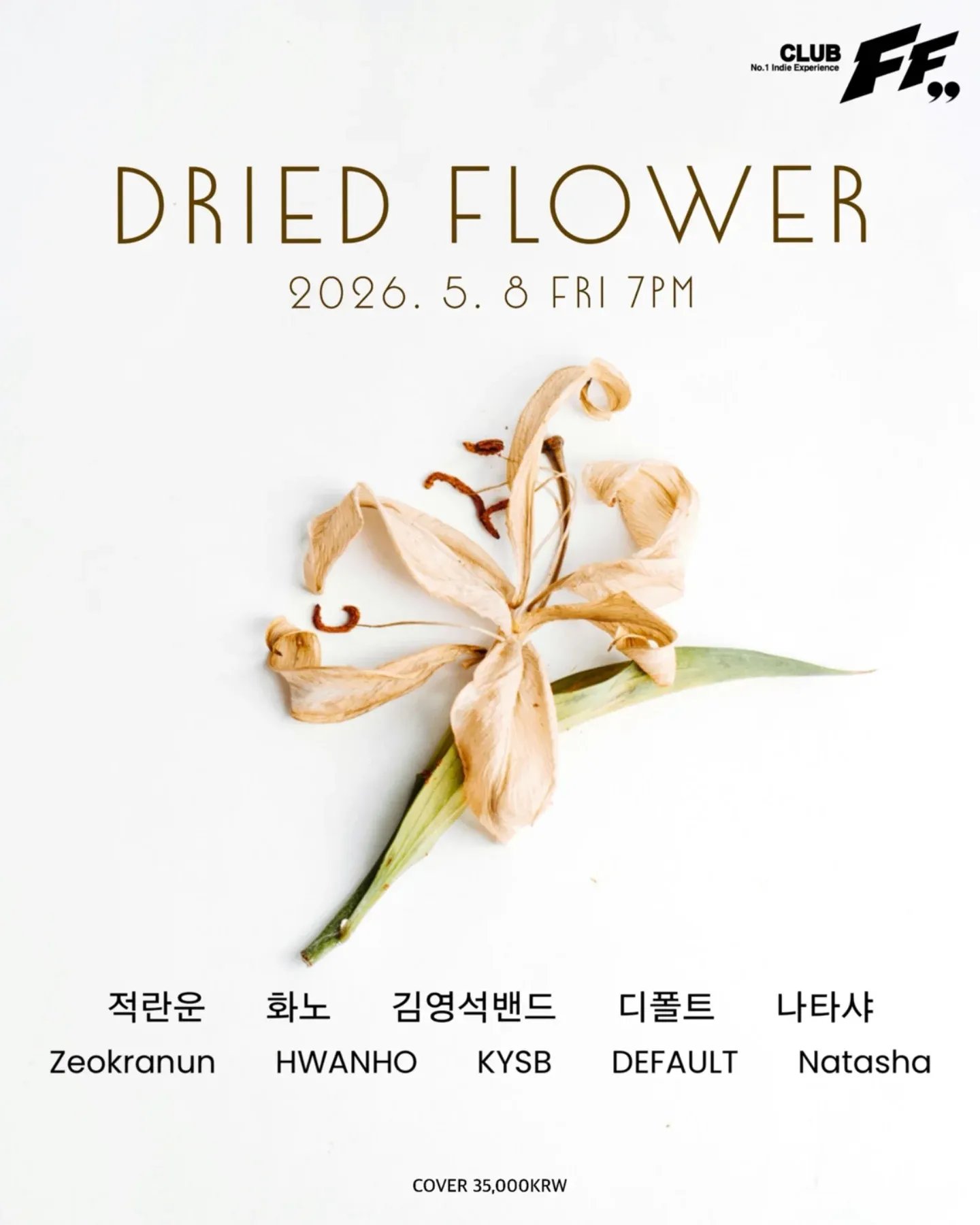 DRIED FLOWER @ FF