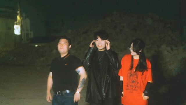 폴립